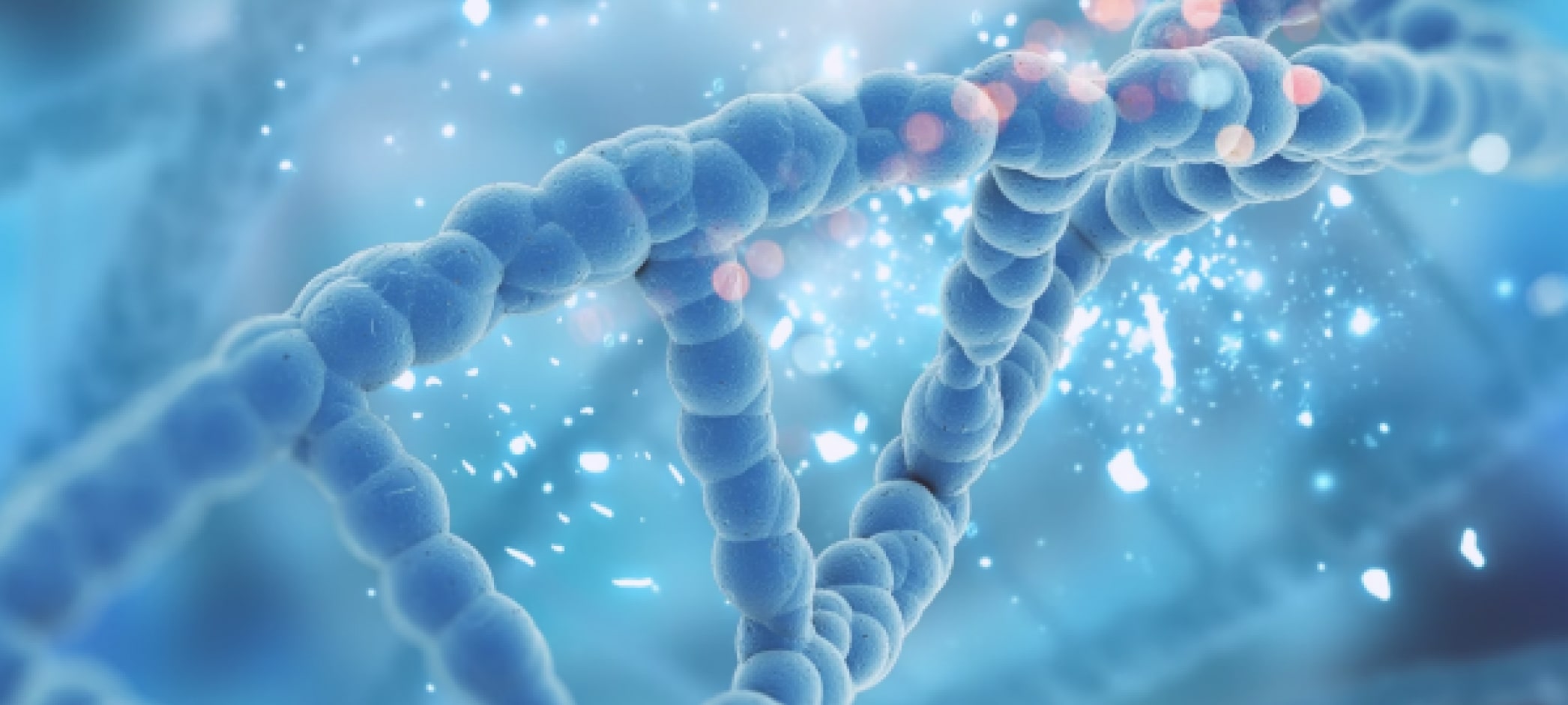  Генетический тест и консультация генетика